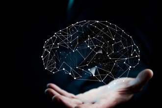 Nuno Canhão Bernardes Goncalves Coelho