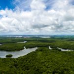 Aldilene Francisca de Moraes