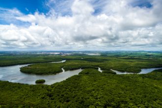 Aldilene Francisca de Moraes