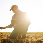 Agenor Vicente Pelissa