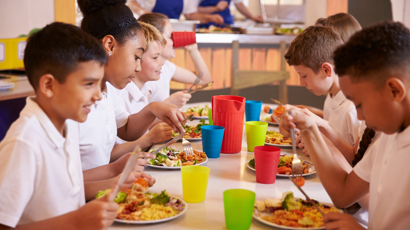 Como a Nova Regulamentação das Cantinas Escolares em Alagoas Pode Transformar a Alimentação nas Escolas