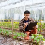 MDS Impulsiona Produção Sustentável com Investimento em Tecnologia da Embrapa