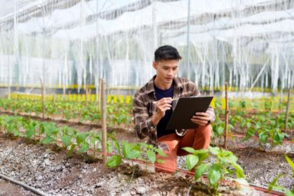 MDS Impulsiona Produção Sustentável com Investimento em Tecnologia da Embrapa