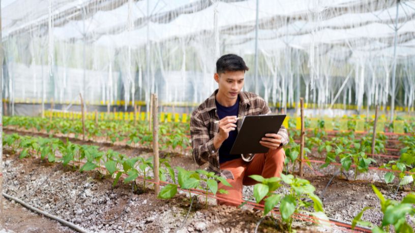 MDS Impulsiona Produção Sustentável com Investimento em Tecnologia da Embrapa