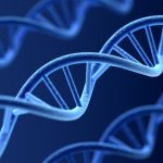 Tecnologia e DNA na alimentação personalizada: como a genética pode transformar sua dieta e sua saúde