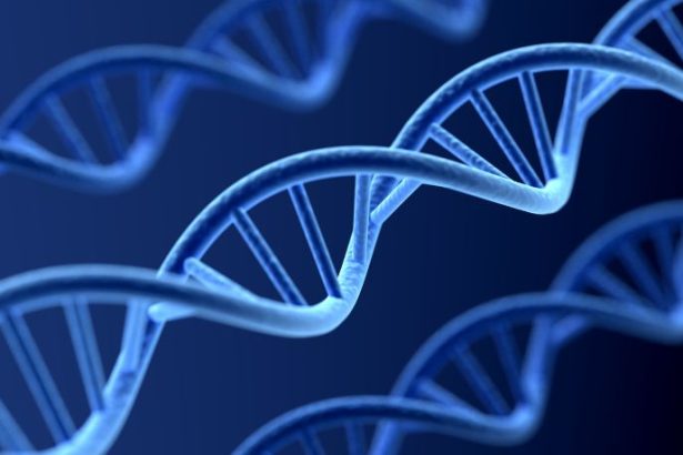 Tecnologia e DNA na alimentação personalizada: como a genética pode transformar sua dieta e sua saúde