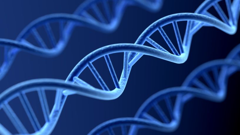 Tecnologia e DNA na alimentação personalizada: como a genética pode transformar sua dieta e sua saúde