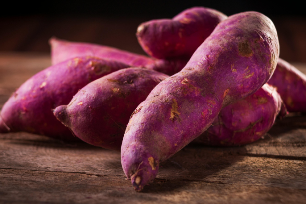 Tecnologia impulsiona agricultura familiar com nova cultivar de batata-doce da Embrapa