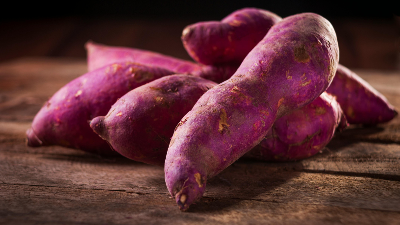 Tecnologia impulsiona agricultura familiar com nova cultivar de batata-doce da Embrapa