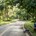 Dez minutos de exercício por dia podem fazer diferença para o cérebro? Estudo aponta impacto na prevenção da demência