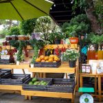 Banca de mercado ao ar livre com frutas, verduras e outros produtos sob um guarda-sol verde.