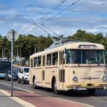 Trolebus circula por uma rua urbana arborizada, entre veículos e edifícios.